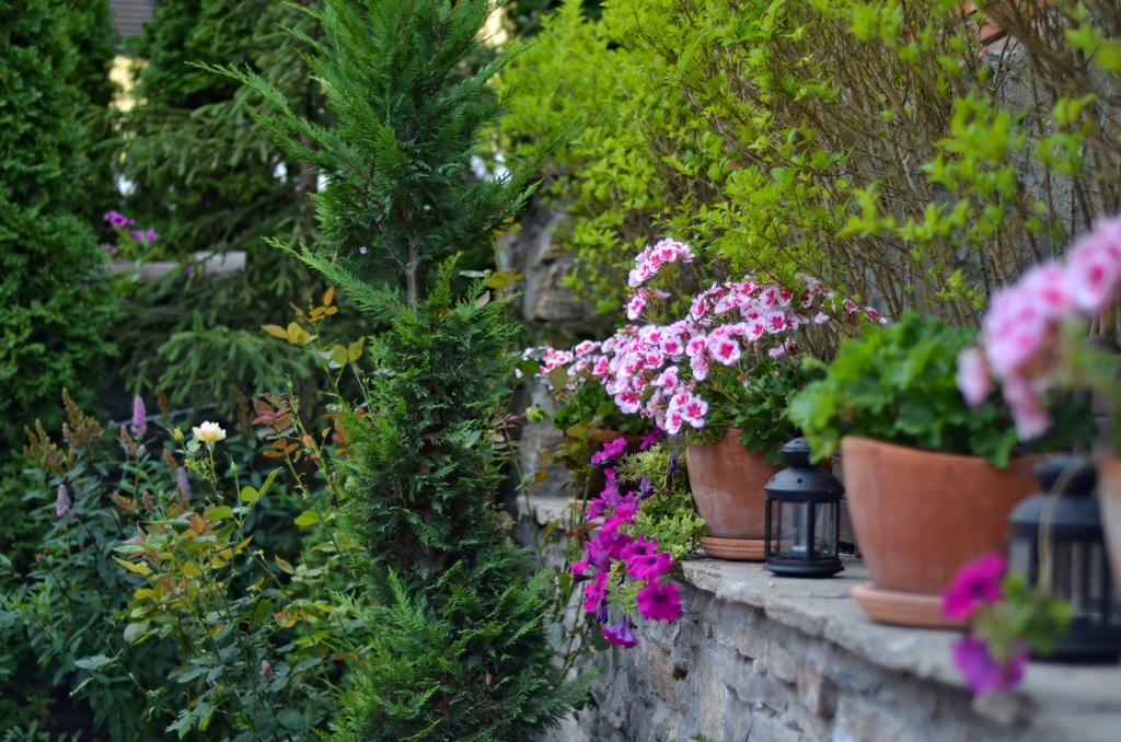 Villa Vuchev เวลินกราด ภายนอก รูปภาพ